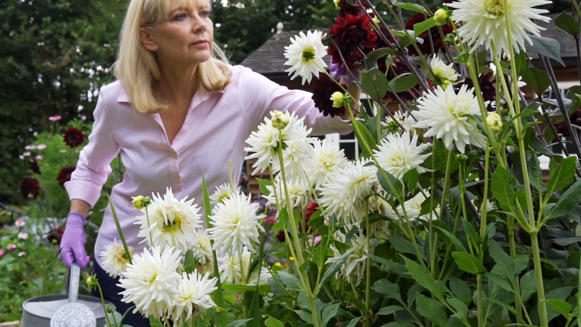 Elevate Your Garden’s Natural Beauty